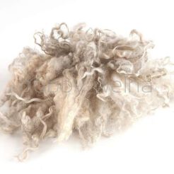 Natral wool locks white unwashed